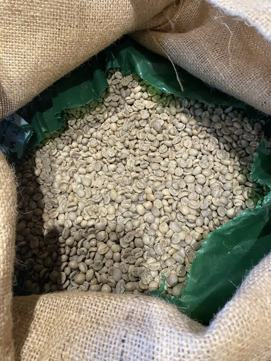Café Mexique CHIAPAS Grains
