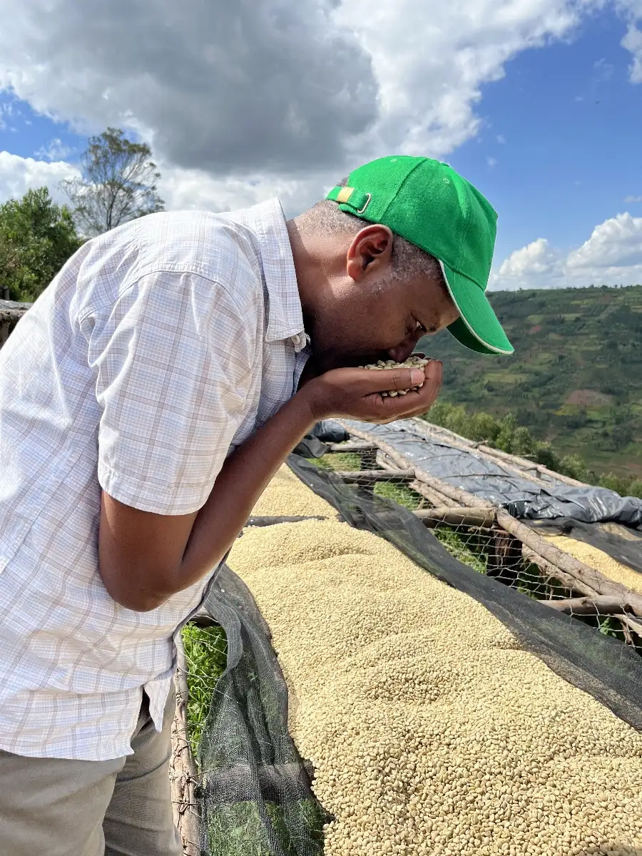 Café Rwanda TABA Grains