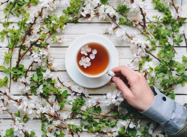 INFUSION L'ABRICOT A LA PÊCHE sachet 100gr
