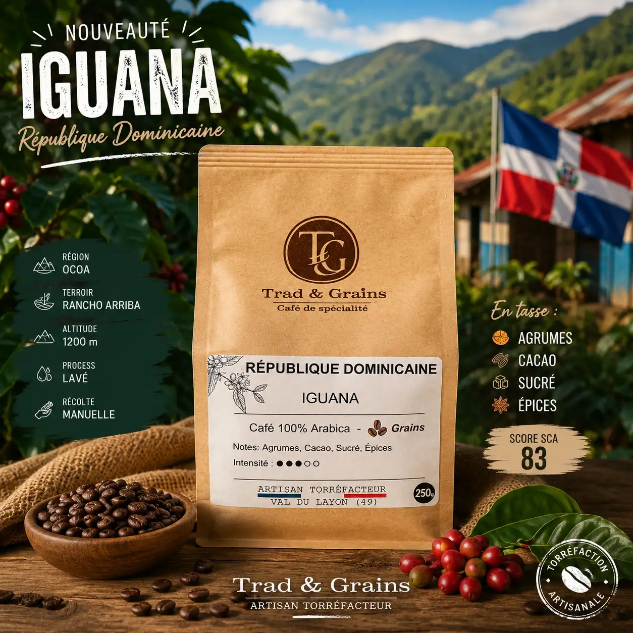 Café République Dominicaine IGUANA Grains